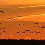 Lotsenkoje * Ostseeheilbad Zingst